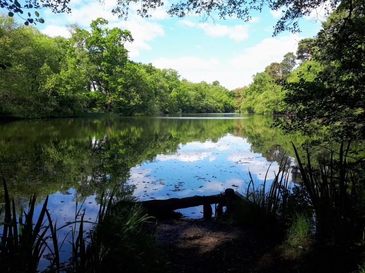 CALPAC Manor Pond Fishery Cobham Surrey