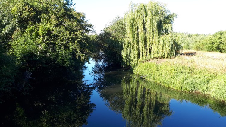 CALPAC Padworth Fishery River Kennet Berkshire